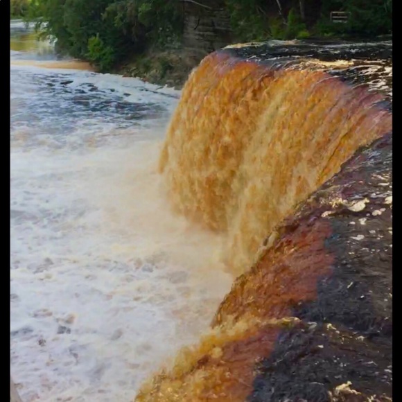 Meet your Posher, Crystal - Picture 2 of 3